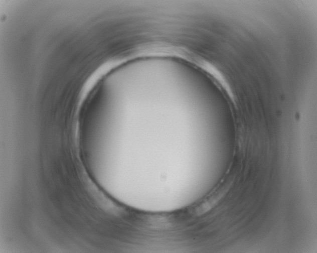 X0000083061472200702232008