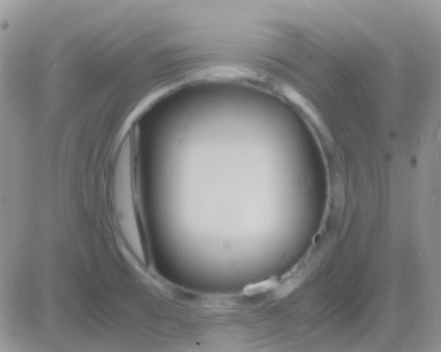 X0000083061473200702232008