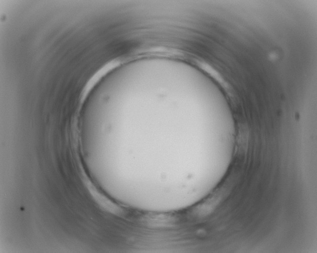 X0000083061474200702232008