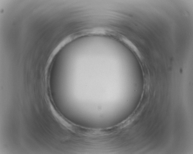 X0000083061475200702232008