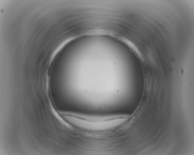 X0000083061476200702232008