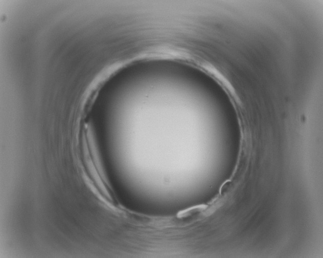 X0000083061477200702232008