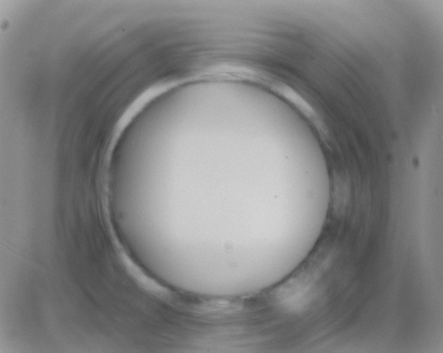 X0000083061478200702232008