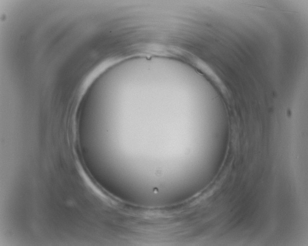 X0000083061479200702232008