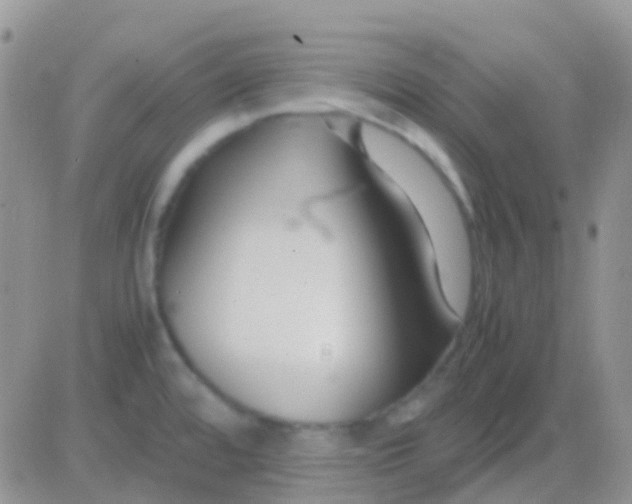 X0000083061480200702232008