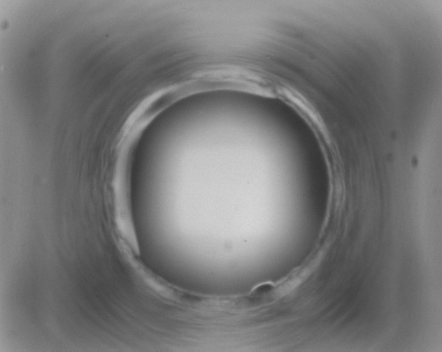 X0000083061481200702232008