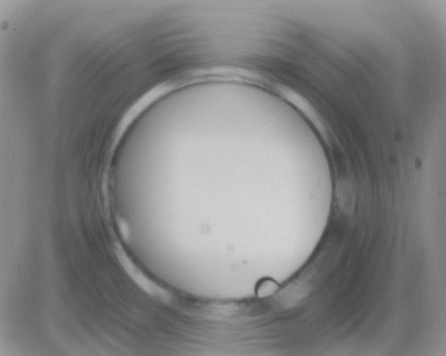 X0000083061482200702232008