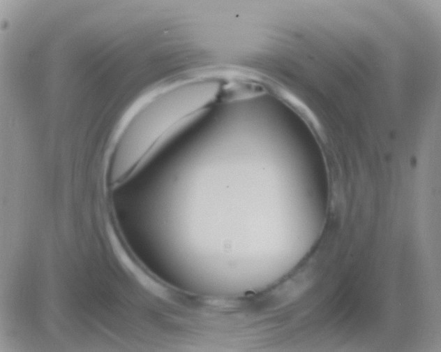 X0000083061483200702232008