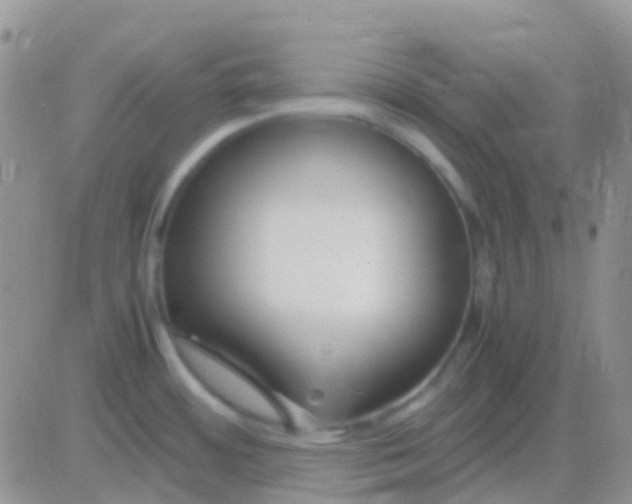 X0000083061484200702232008