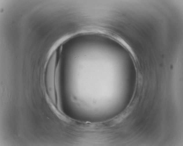 X0000083061485200702232008