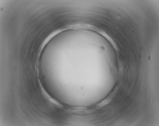 X0000083061486200702232008