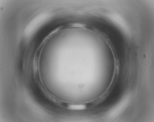 X0000083061487200702232008