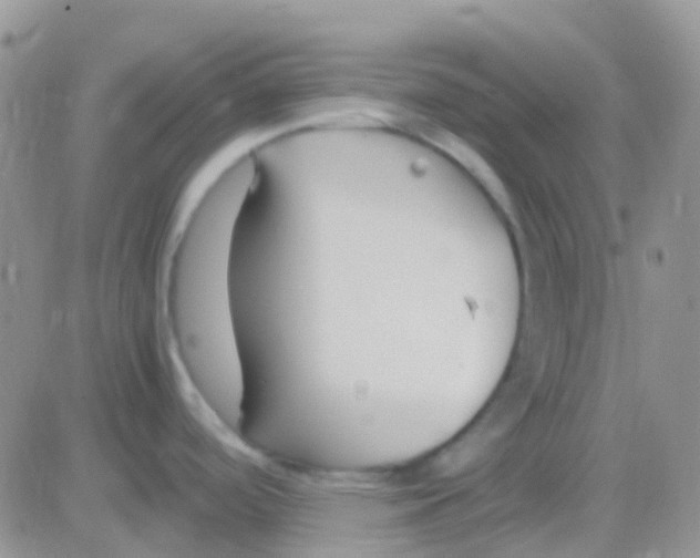 X0000083061488200702232008