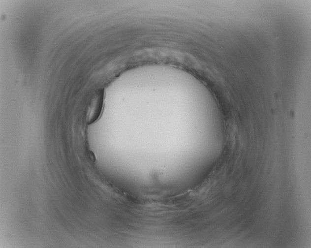 X0000083061489200702232007