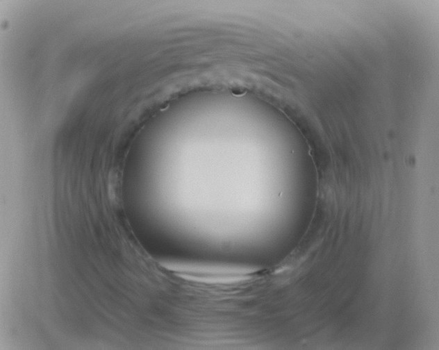 X0000083061490200702232007