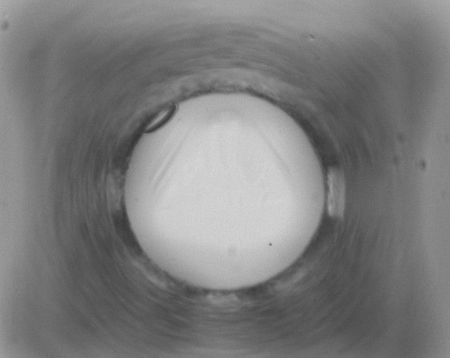 X0000083061491200702232007