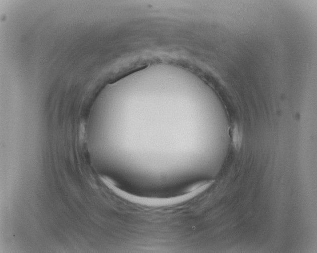 X0000083061492200702232007