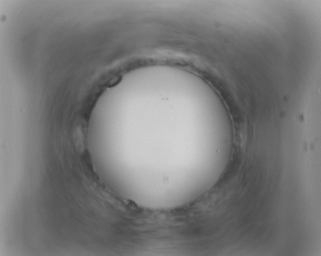 X0000083061493200702232007