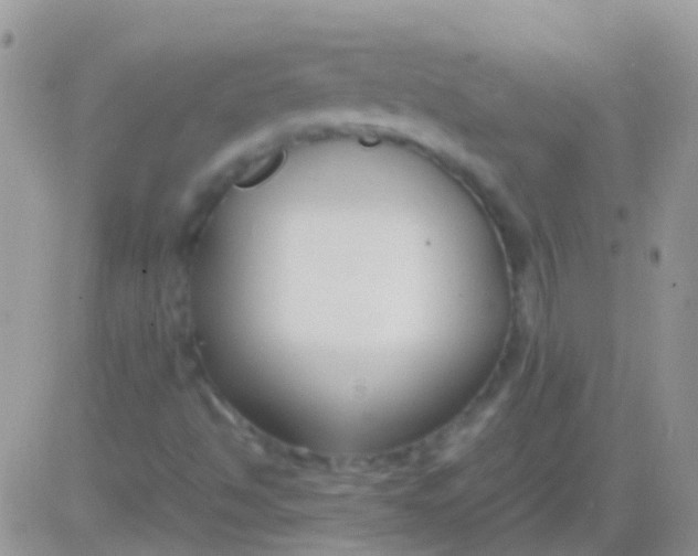 X0000083061494200702232007