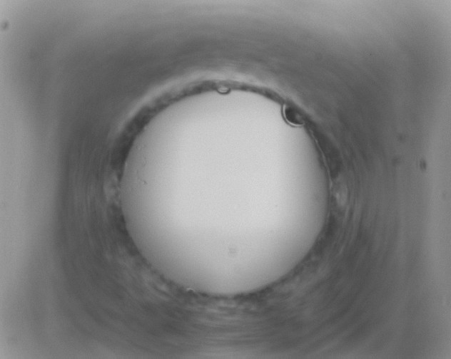 X0000083061495200702232008