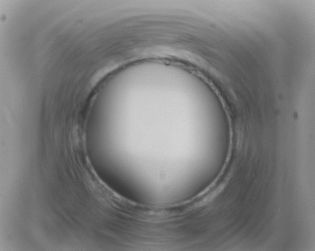 X0000083061497200702232008