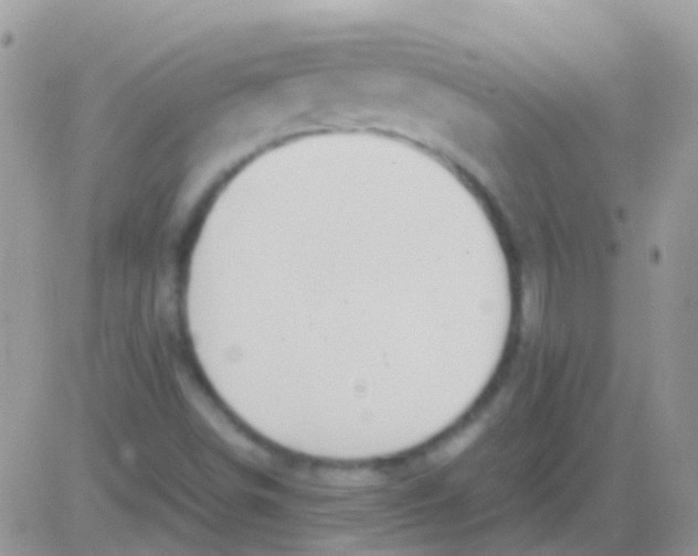 X0000083061498200702232008