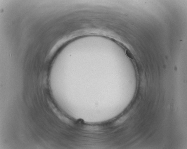 X0000083061499200702232008