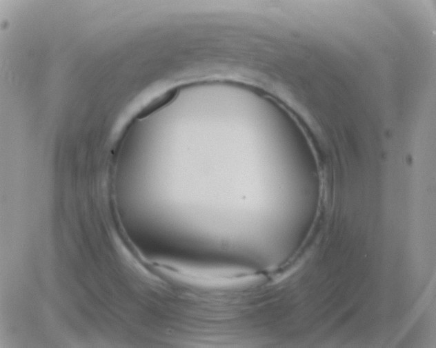 X0000083061500200702232008