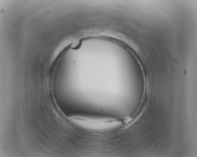 X0000083061501200702232008