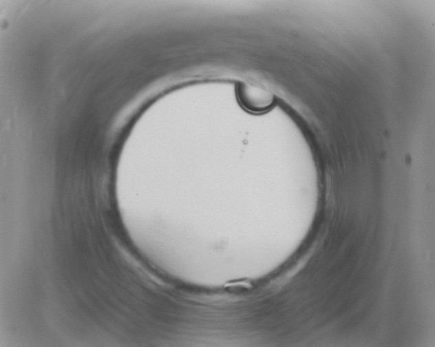 X0000083061502200702232008