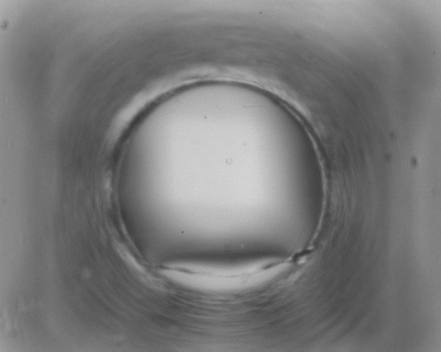 X0000083061503200702232008