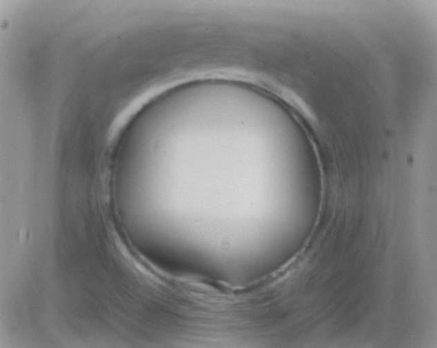 X0000083061504200702232008