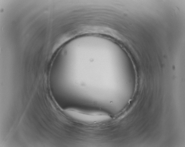 X0000083061505200702232008