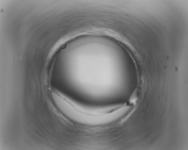 X0000083061506200702232008