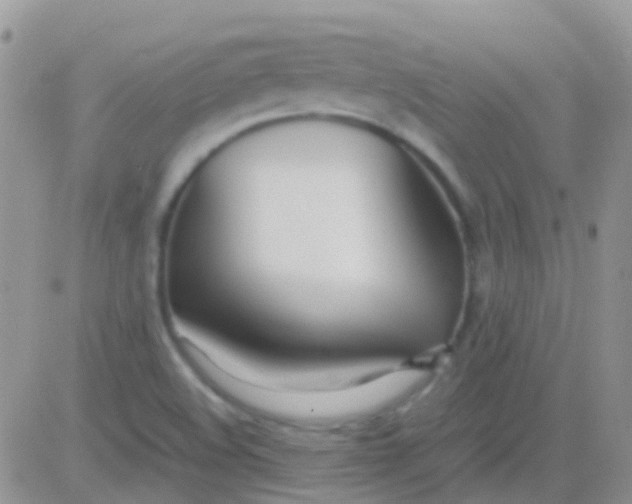 X0000083061508200702232008