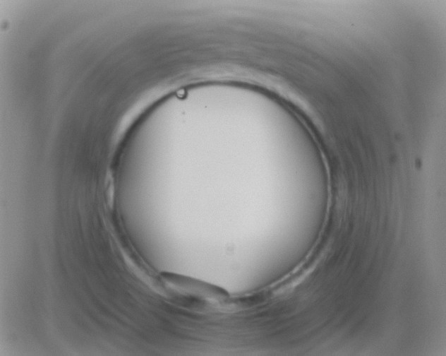 X0000083061509200702232008