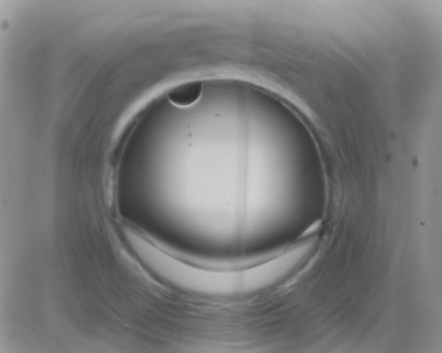 X0000083061510200702232008