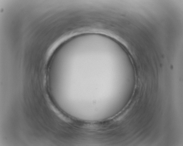 X0000083061511200702232008