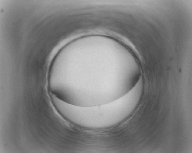 X0000083061512200702232008