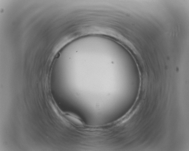 X0000083061513200702232008