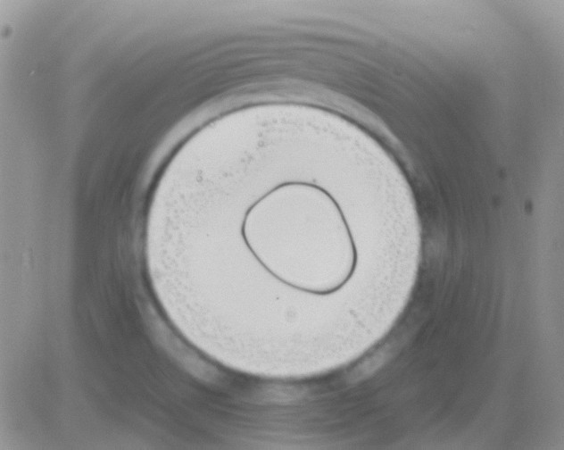 X0000083061514200702232008