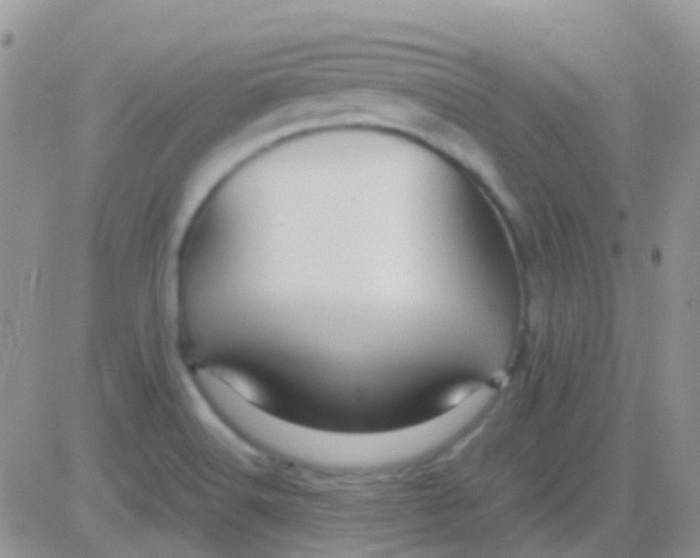 X0000083061516200702232008