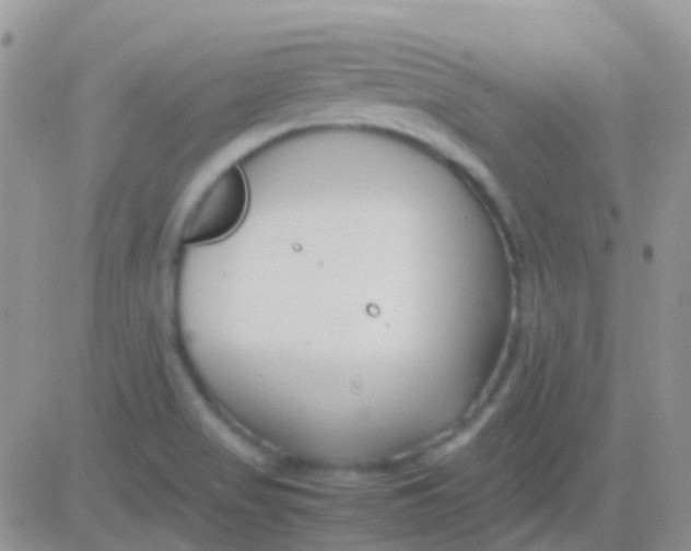 X0000083061517200702232008