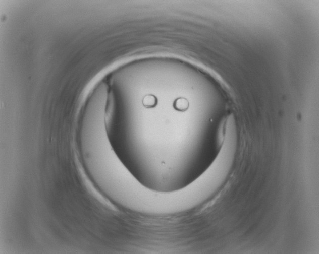 X0000083061518200702232008