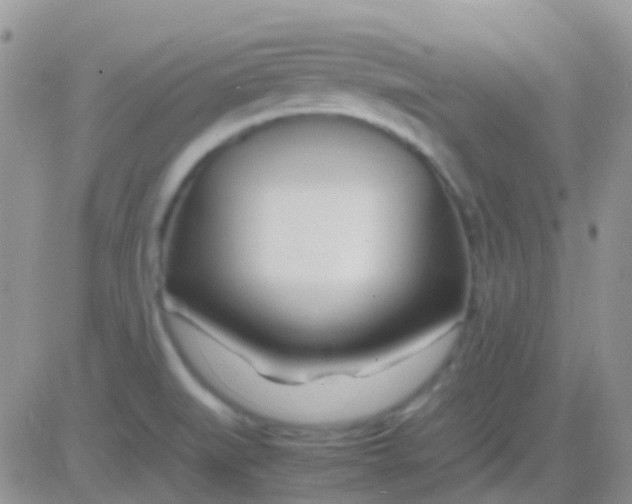 X0000083061519200702232008