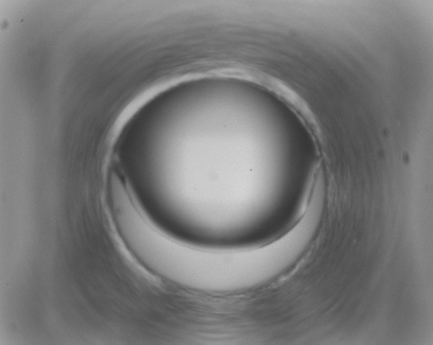 X0000083061520200702232008