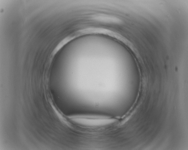 X0000083061521200702232008