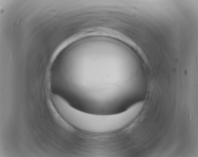 X0000083061522200702232008