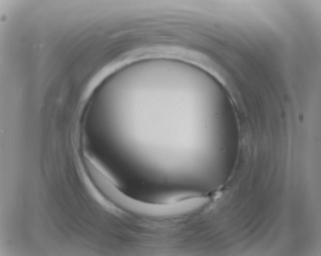 X0000083061523200702232008