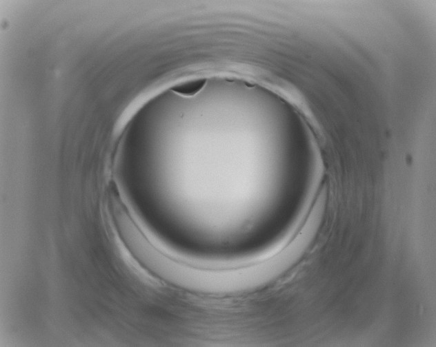 X0000083061524200702232008